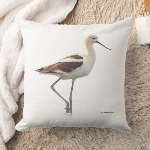 Stunning American Avocet Bird Strolling the Beach Throw Pillow