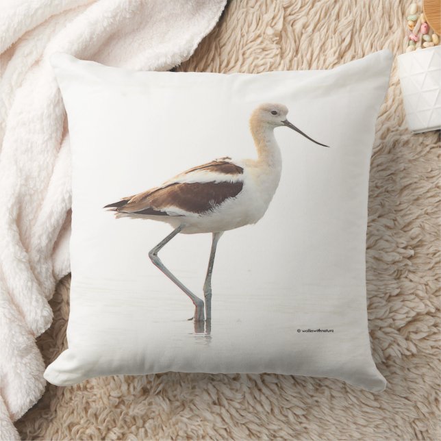 Stunning American Avocet Bird Strolling the Beach Throw Pillow (Blanket)