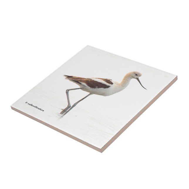 Stunning American Avocet Wading Bird at the Beach Ceramic Tile (Side)