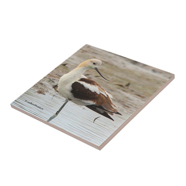 Stunning American Avocet Wading Bird at the Beach Ceramic Tile (Side)