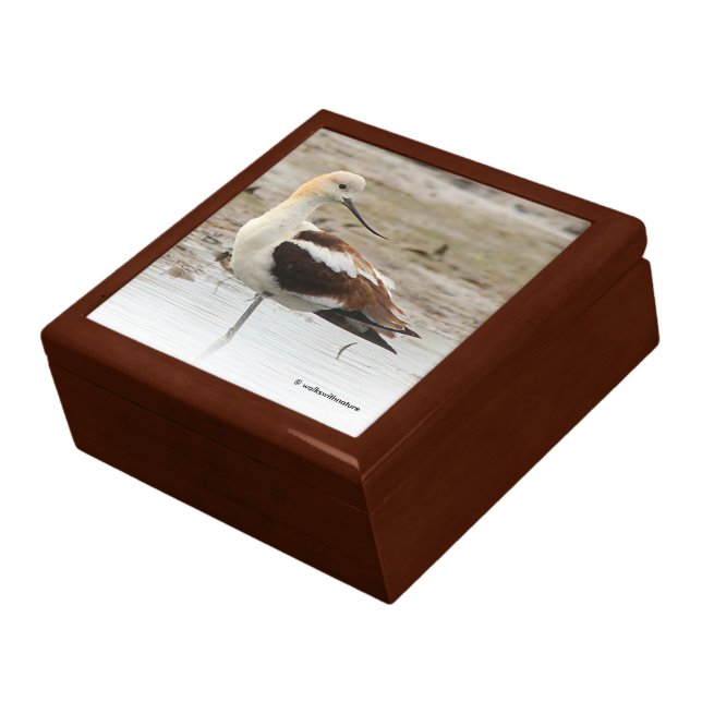 Stunning American Avocet Wading Bird at the Beach Gift Box (Side)