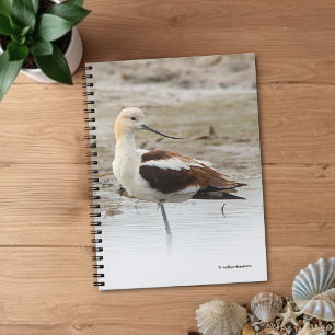 Stunning American Avocet Wading Bird at the Beach Notebook