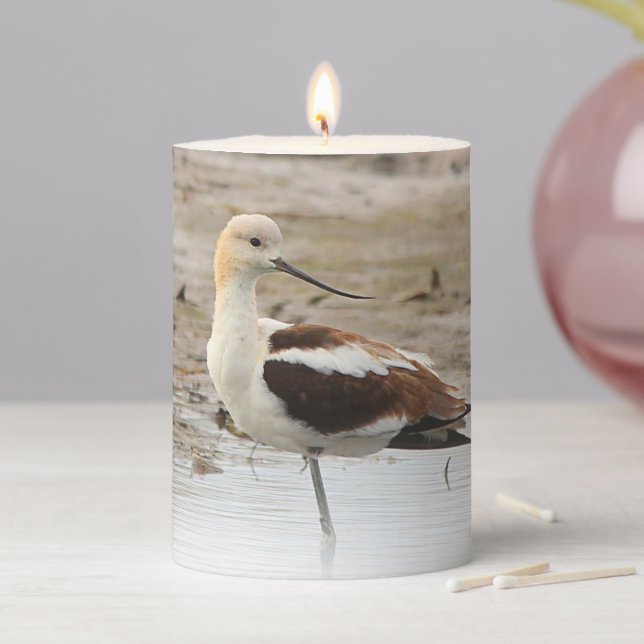 Stunning American Avocet Wading Bird at the Beach Pillar Candle (In Situ)