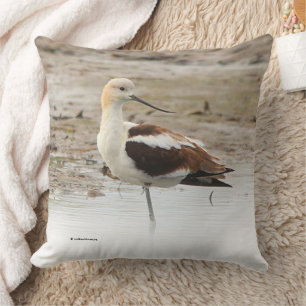 Stunning American Avocet Wading Bird at the Beach Throw Pillow