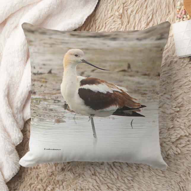 Stunning American Avocet Wading Bird at the Beach Throw Pillow (Blanket)