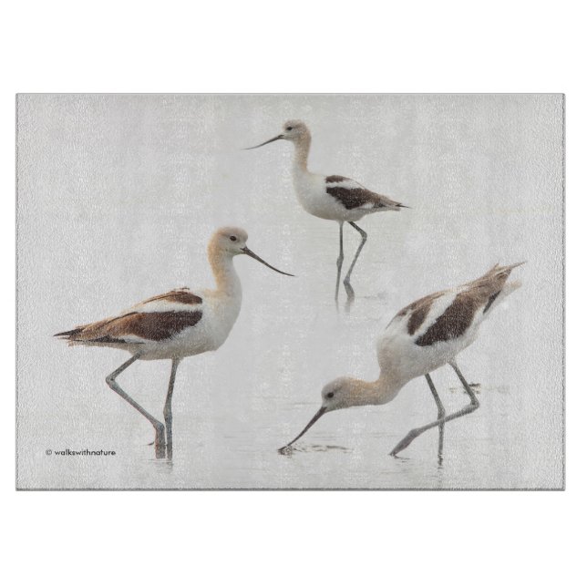 Stunning American Avocets Birds on the Beach Cutting Board (Front)