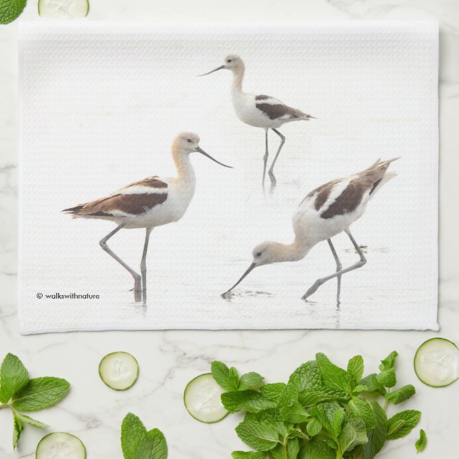 Stunning American Avocets Birds on the Beach Kitchen Towel (Folded)