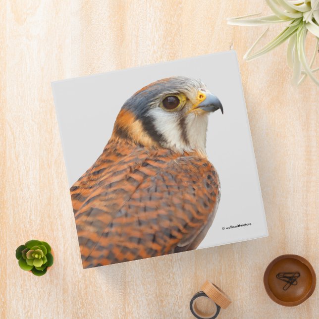 Stunning American Kestrel Sparrowhawk Falcon 3 Ring Binder (In Situ)