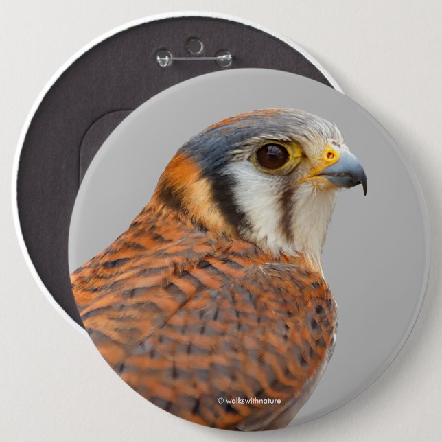 Stunning American Kestrel Sparrowhawk Falcon Button (Front & Back)