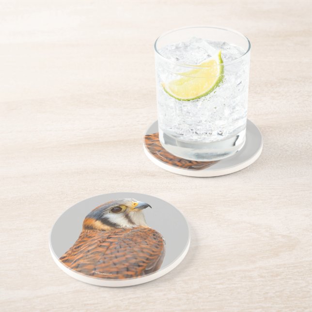 Stunning American Kestrel Sparrowhawk Falcon Coaster (Side)