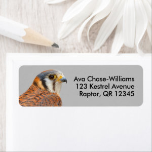 Stunning American Kestrel Sparrowhawk Falcon Label