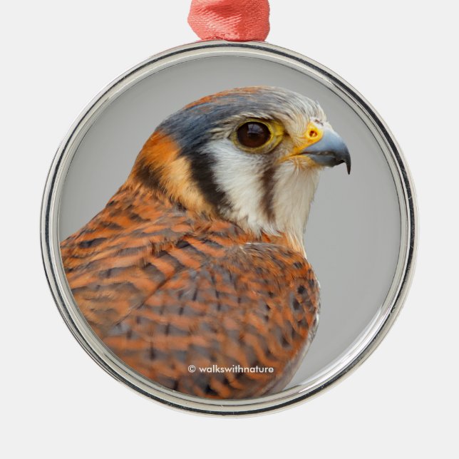 Stunning American Kestrel Sparrowhawk Falcon Metal Ornament (Front)
