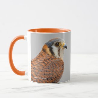Stunning American Kestrel Sparrowhawk Falcon Mug