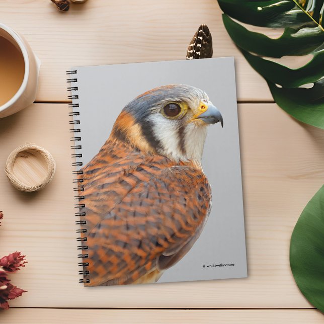 Stunning American Kestrel Sparrowhawk Falcon Notebook (Stunning Closeup of an American Kestrel Journal Cover Photo)