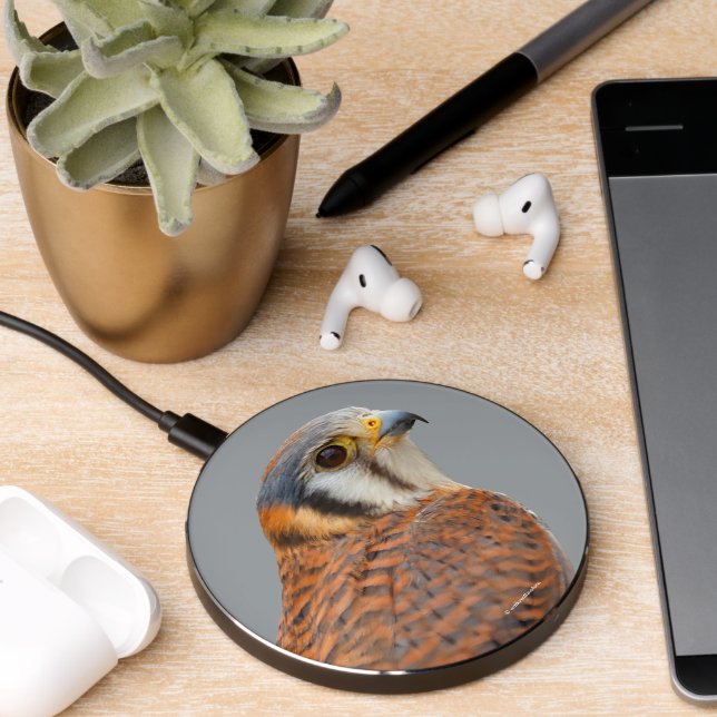 Stunning American Kestrel Sparrowhawk Falcon Wireless Charger (Desk 2)
