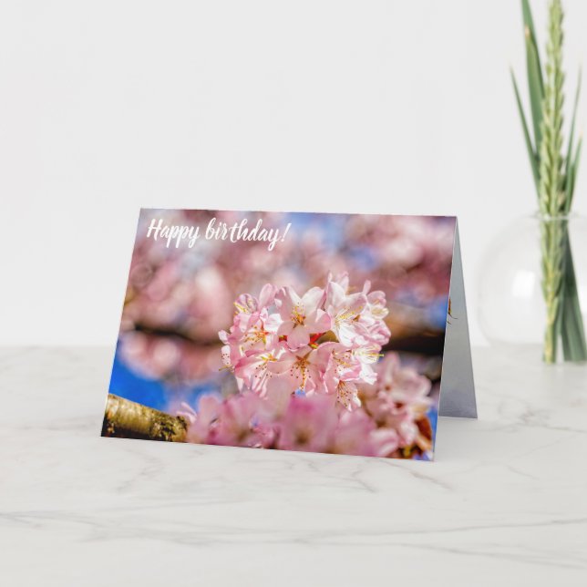 Stunning And Amazing Pink Sakura Flowers In Spring Card (Front)