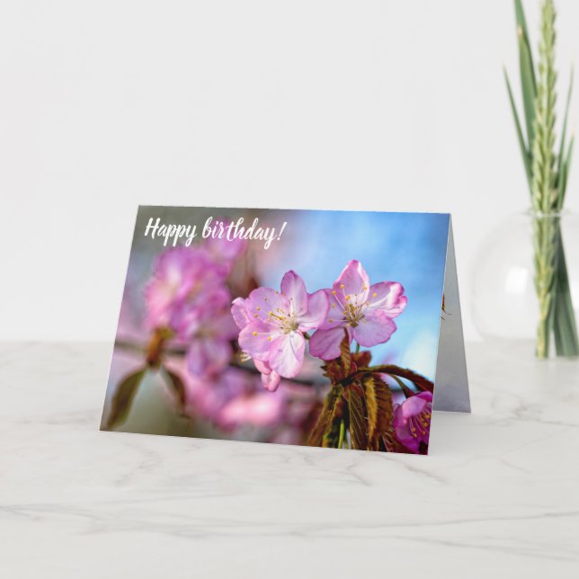 Stunning And Amazing Sakura Flowers In Springtime Card (Front)