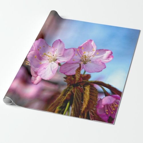 Stunning And Amazing Sakura Flowers Wrapping Paper