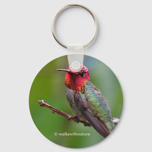 Stunning Annas Hummingbird on Fruit Tree Keychain
