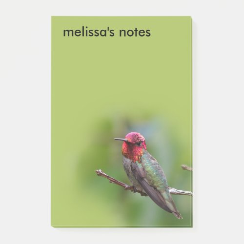 Stunning Annas Hummingbird on Fruit Tree Post_it Notes
