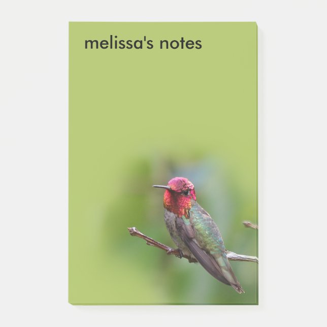 Stunning Anna's Hummingbird on Fruit Tree Post-it Notes (Front)