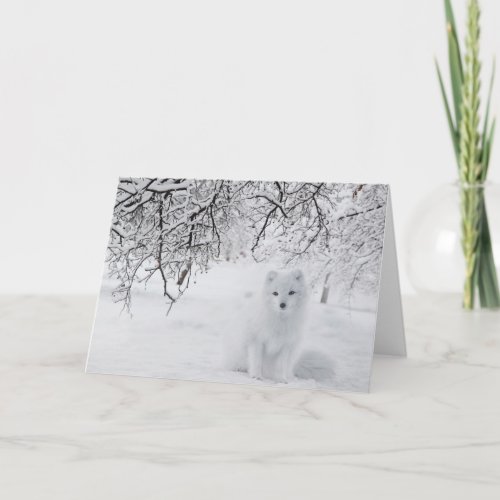 Stunning Arctic Fox Card