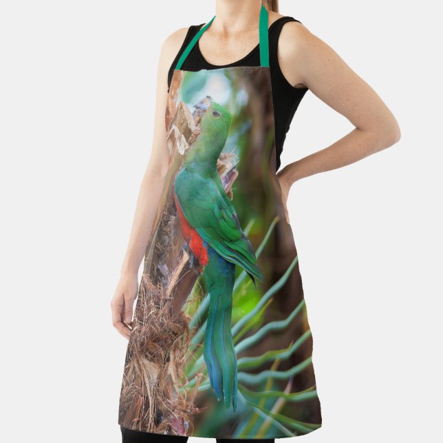 Stunning Australian King Parrot Climbing a Tree Apron (Insitu)