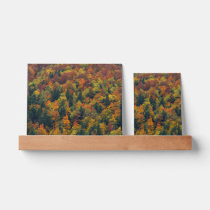 Stunning autumn forest picture ledge