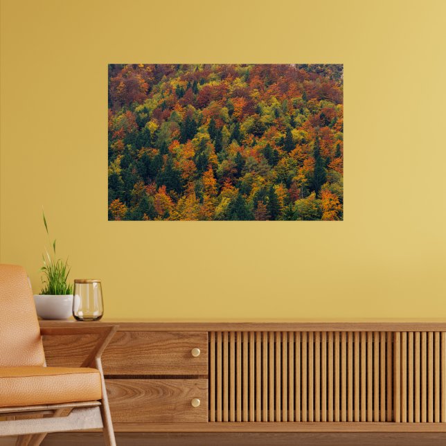Stunning autumn forest poster (Living Room 2)