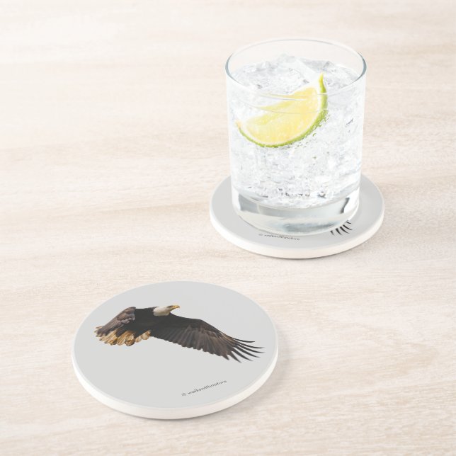 Stunning Bald Eagle Bird of Prey in Flight Coaster (Side)