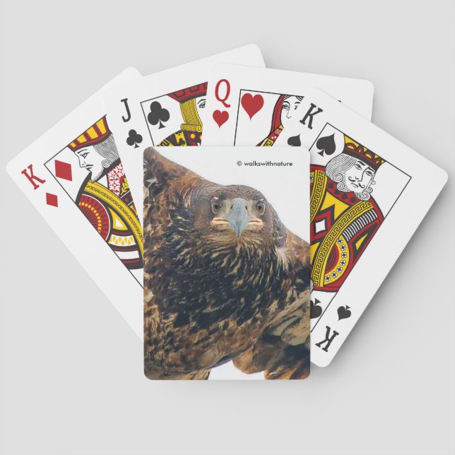 Stunning Bald Eagle Does a Flyover Poker Cards (Back)