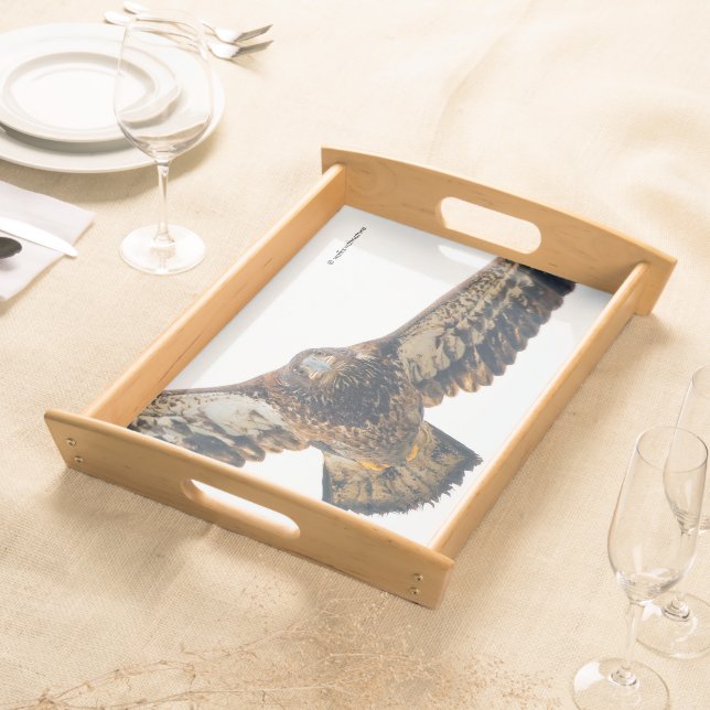 Stunning Bald Eagle Does a Flyover Serving Tray (Front)