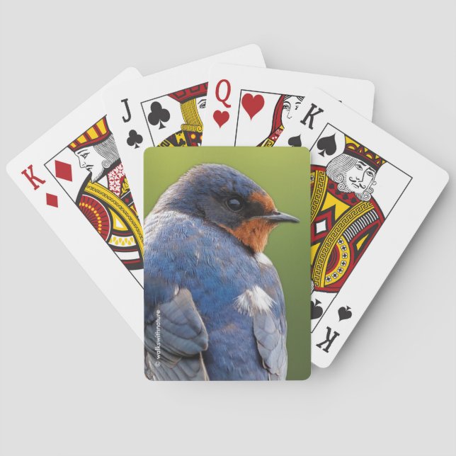 Stunning Barn Swallow Songbird on a Branch Poker Cards (Back)