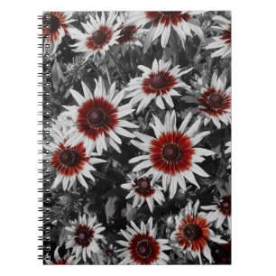 Stunning Black-Eyed Susans Spiral Notebook