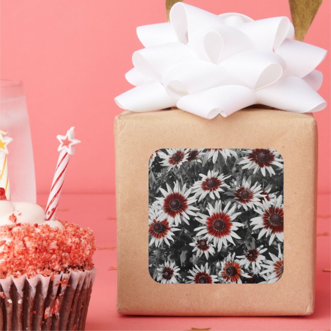 Stunning Black-Eyed Susans  Square Sticker (Party)