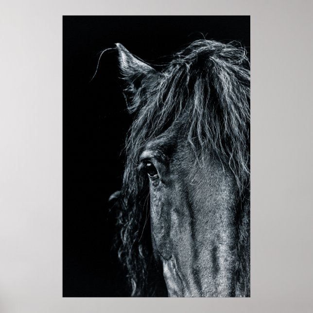 Stunning black horse portrait poster (Front)