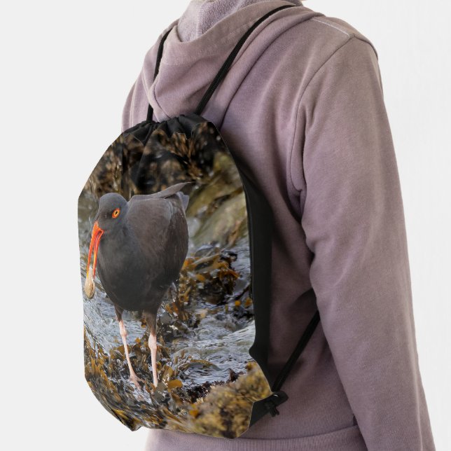 Stunning Black Oystercatcher Shorebird with Clam Drawstring Bag (Insitu)
