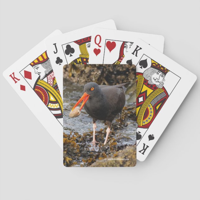 Stunning Black Oystercatcher Shorebird with Clam Poker Cards (Back)