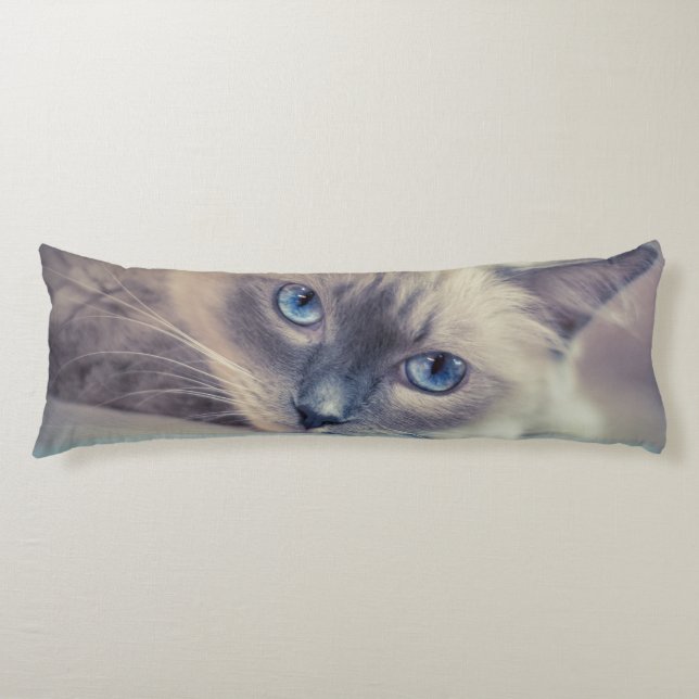 Stunning Blue Eyed Ragdoll‎ Cat Body Pillow (Front)