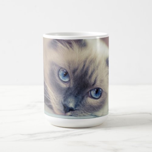 Stunning Blue Eyed Ragdoll Cat Coffee Mug