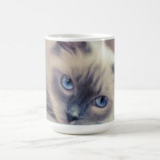Stunning Blue Eyed Ragdoll Cat Color Morph Mug