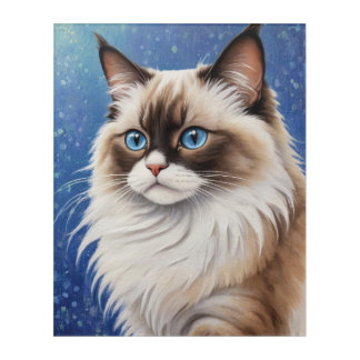Stunning Blue Eyed Ragdoll Cat Painting Elegant  Acrylic Print