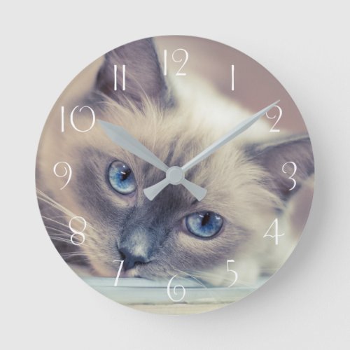 Stunning Blue Eyed Ragdoll Cat Round Clock