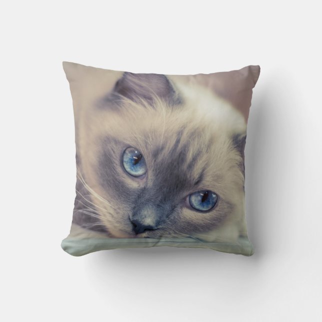 Stunning Blue Eyed Ragdoll‎ Cat Throw Pillow (Front)