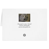 Stunning Bobcat Card (Back Horizontal)