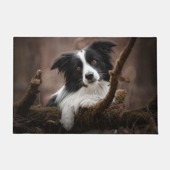 Stunning Border Collie Portrait Doormat (Front)