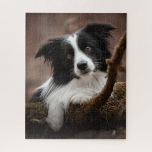 Stunning Border Collie Portrait Jigsaw Puzzle
