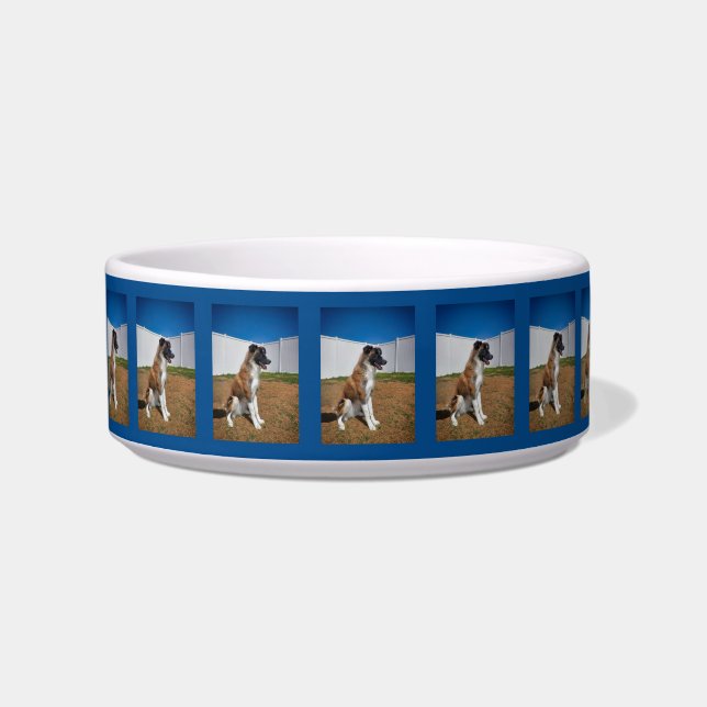 Stunning Border Collie Pup Ceramic Pet Bowl (Front)