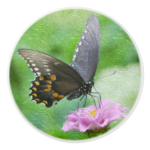 Stunning Butterfly Ceramic Knob