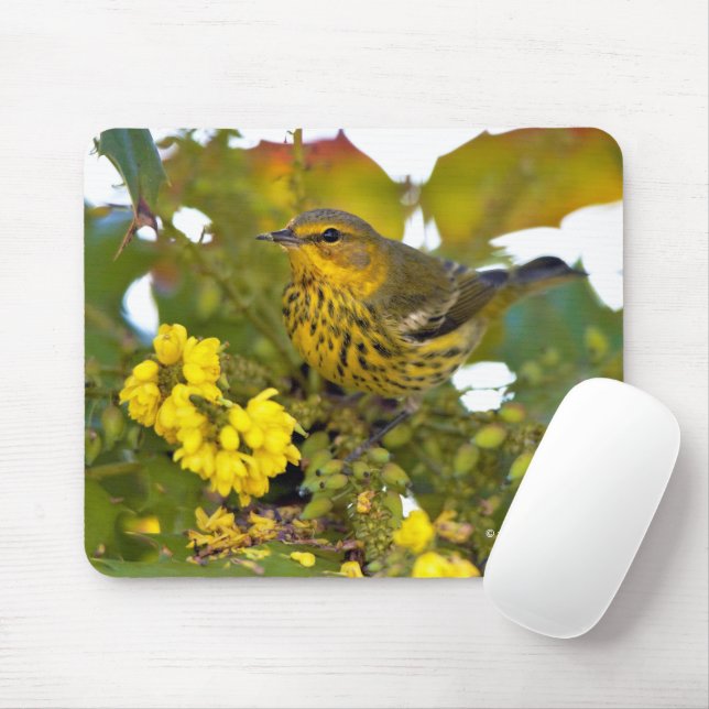 Stunning Cape May Warbler Songbird on Mahonia Mouse Pad (With Mouse)